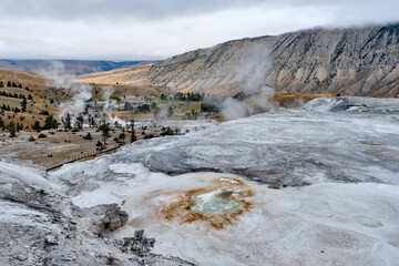 Minerva Terrace, Yellowstone National Park, Wyoming, USA