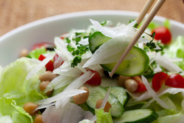 家庭で作った野菜サラダ