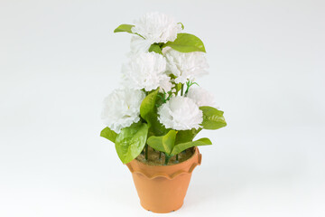 Plastic  jasmine flowers