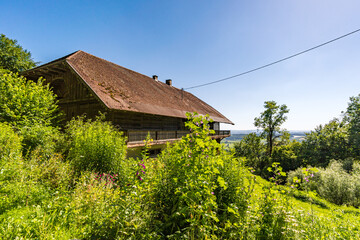 Along the panorama path in Heiligenberg