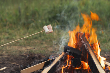 Roasting marshmallows on a campfire during camping in nature. Marshmallows on sticks over a bonfire. Space for text, horizontal orientation.
