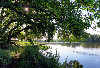 Loire river bank near Châteauneuf-sur-Loire village