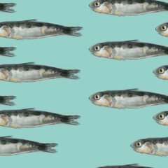 anchovy pattern, ideal footage for themes such as Mediterranean cuisine and maritime themes