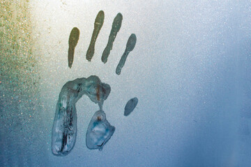 imprint rugas and feet on glass covered with hoarfrost in the cold winter season