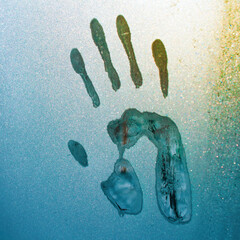 imprint rugas and feet on glass covered with hoarfrost in the cold winter season