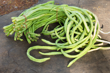 bundle of cow pea in pile of cow pea for sale in local market