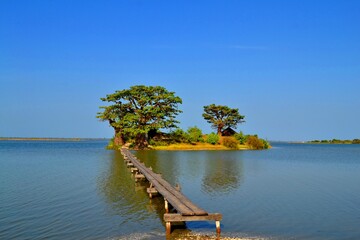 wooden bridge over the delta