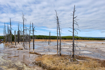 Yellowstone National Park in Wyoming