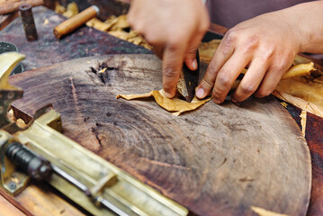 Closeup of hands making cigar from tobacco leaves. Traditional manufacture of cigars. Dominican Republic