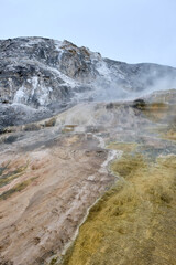Minerva Terrace, Yellowstone National Park, Wyoming, USA