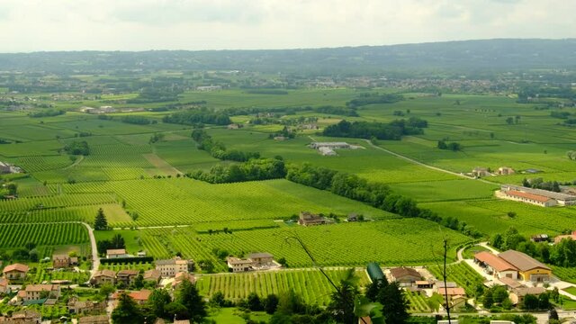 View of Piave area between Prealps and Montello hill with green Prosecco vineyards
