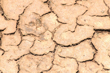The red soil cracks and shadows cause the pattern.