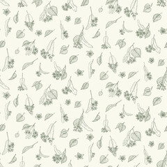 Linden branches flowers and leaves herbal vector pattern. Hand drawn botanical sketch style. Retro vintage graphic design.