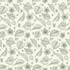 Linden branches flowers and leaves herbal vector pattern. Hand drawn botanical sketch style. Retro vintage graphic design.