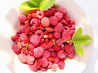 raspberries on a white plate