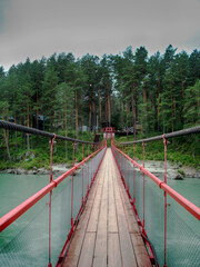Fototapeta premium Bridge over the river going to the forest
