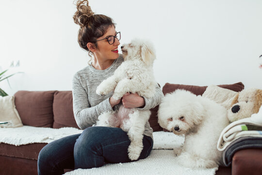 Young woman enjoying with her dogs. Young woman siting on sofa and enjoying with her pets.