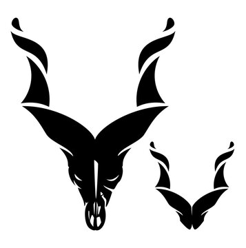 markhor skull head - mountain screw horned goat black vector outline design