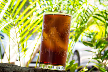 coke on Green tree background