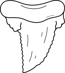 Shark tooth