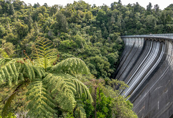 Dam in the rainforest of Auckland, New Zealand. - 363819645