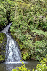 Waterfall in the rainforest of New Zealand - 363820013