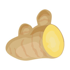 Ginger vector icon.Cartoon vector icon isolated on white background ginger.