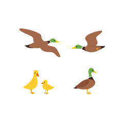 Cartoon duck sketch line icon. Сute bird icons set. Childish print for nursery, kids apparel, poster, postcard, pattern.