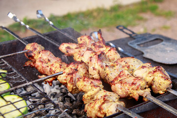 Skewers of thigh of Turkey with mustard-honey sauce and zucchini on the grill