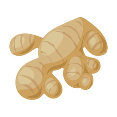 Ginger vector icon.Cartoon vector icon isolated on white background ginger.