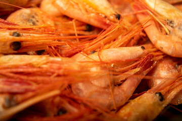Cooked Atlantic shrimps. Close up. A traditional food of coastal cuisine.