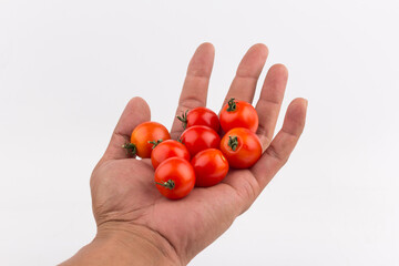 tomatoes in hand on white background