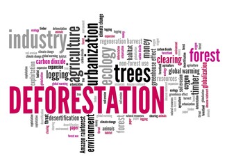 Fototapeta premium Deforestation text sign