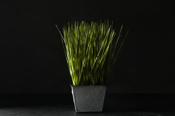 Artificial plant in flower pot on black table