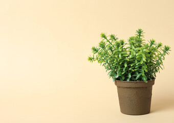 Beautiful artificial plant in flower pot on beige background, space for text
