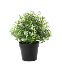 Beautiful artificial plant in flower pot isolated on white