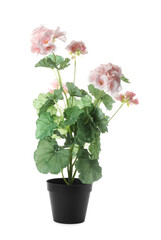 Naklejka na ściany i meble Beautiful artificial plant in flower pot isolated on white