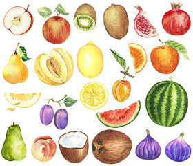 Watercolor Fruits Clipart. Healthy Food Clip Art. Summer Tropical Fruits Slice. Watermelon Pineapple Kiwi Papaya Coconut Orange Lemon Illustration.