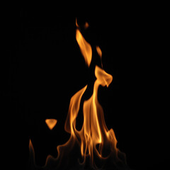 Beautiful bright fire flames on black background