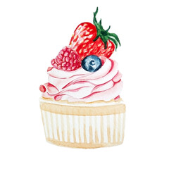 cupcake with berries on a white background in watercolor