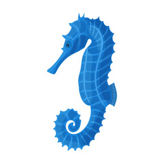Sea horse vector icon.Cartoon vector icon isolated on white background sea horse.
