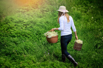 Woman holding two baskets full of flower bases just harvested.Copy space for text or description.