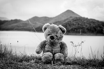 Teddy bear alone sit in river ,sad concept