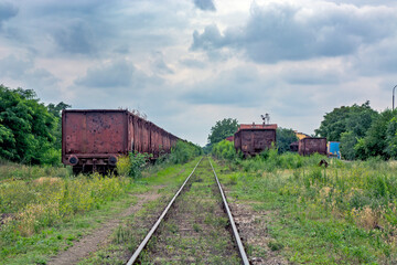 Fototapeta na wymiar Railway overgrown with grass