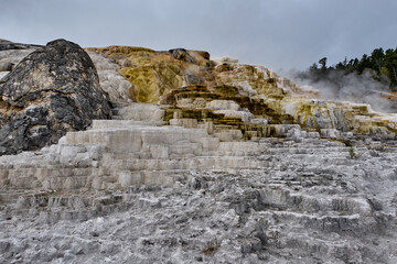 Minerva Terrace, Yellowstone National Park, Wyoming, USA