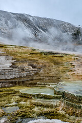 Minerva Terrace, Yellowstone National Park, Wyoming, USA