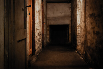 Fototapeta na wymiar Dark old basement in the building - scary place