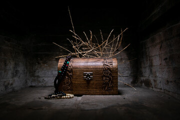 Wooden trunk with treasures and plants. Property of pirates. Mystery wooden box. 