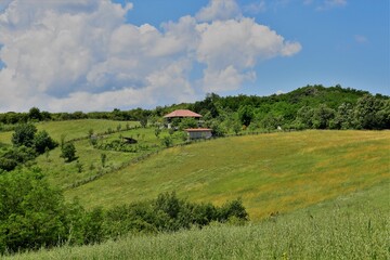 Obraz premium landscape with green field