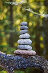 Pyramid stones balance on a tree trunk in the forest. Pyramid in focus, forest background is blurred.